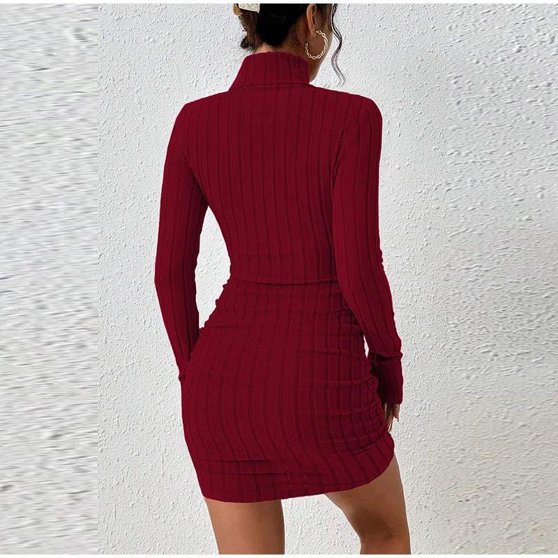 Sexy Slim-Fit Long Sleeve High Street Knitted Turtleneck Bodycon Mini Dress - JVMCL